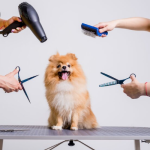 Capture d’écran 2025-08-08 à 21.42.30